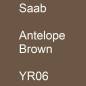 Preview: Saab, Antelope Brown, YR06.